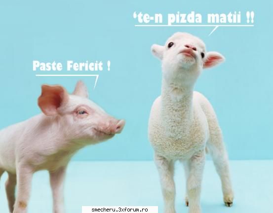 Poze funny - Nu am chef sa caut acuma dupa poze mai funny .. k - Poze,Audio,Bancuri,